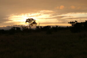 Sonnenuntergang auf afrikanisch